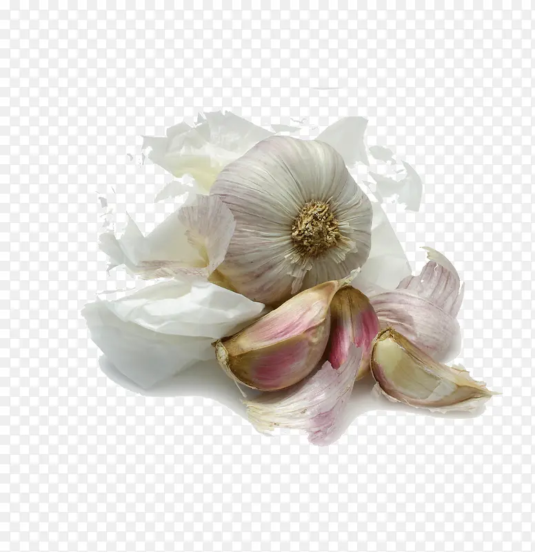 ��ɫ�Ĵ���-������