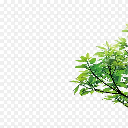 ��֦-������