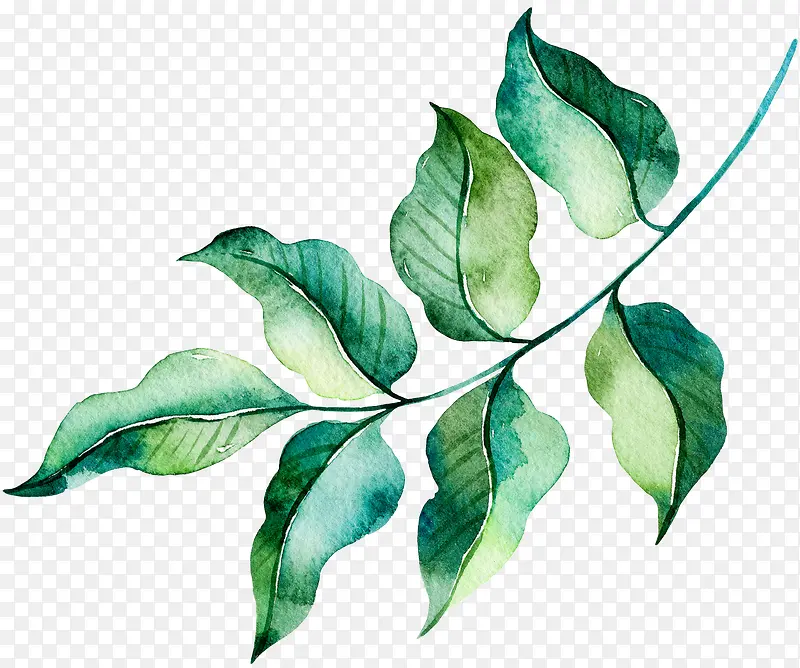 �߿��ز�����-������