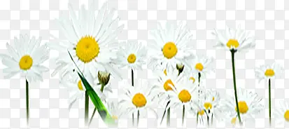 �����ɫ���ջ���-������