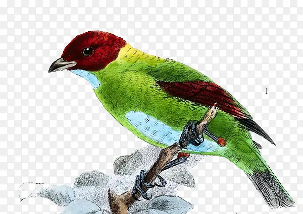 �ֻ��̴���-������