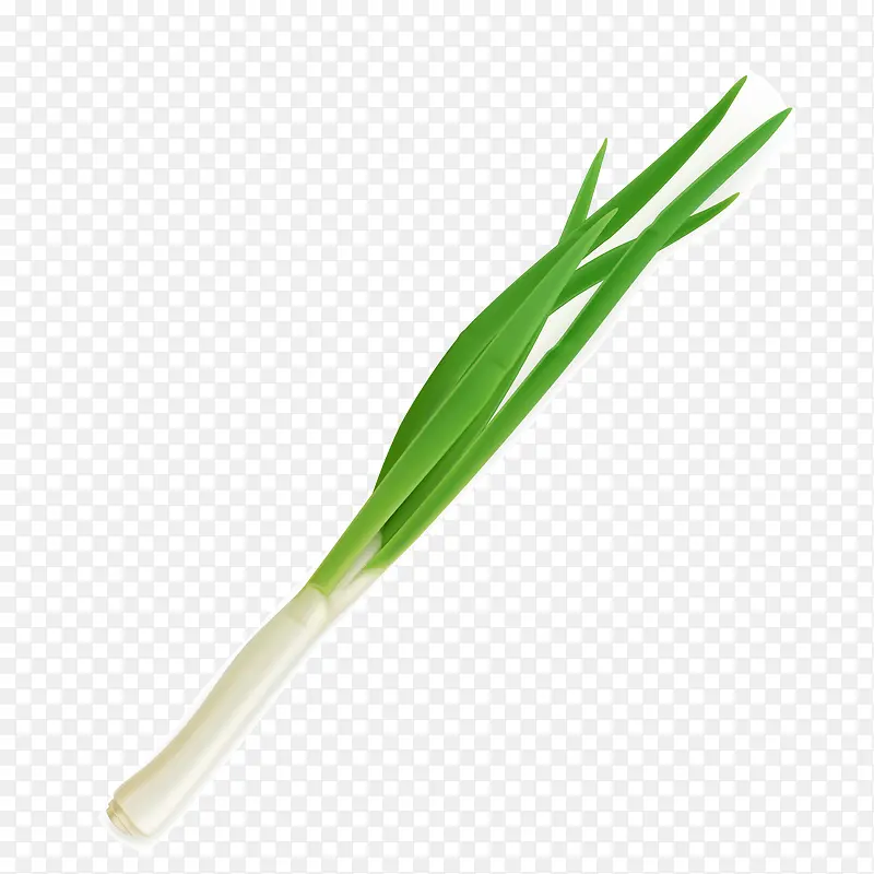 �������ʳ�Ĵ�ʸ��ͼ-������