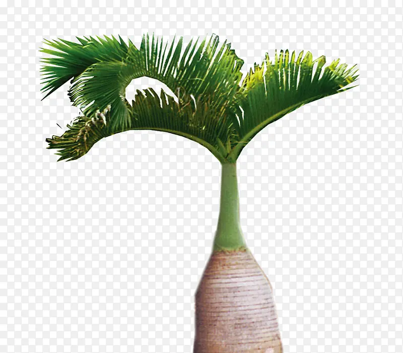 ������-������