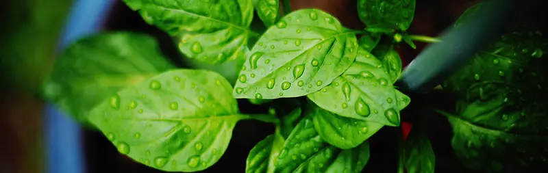 ��ɫ���º�������-������