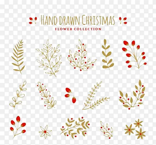 ��Ҷ��Ҷ�ز�-������