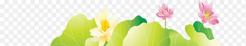 ���ڶ���װ�κɻ������ز�-������