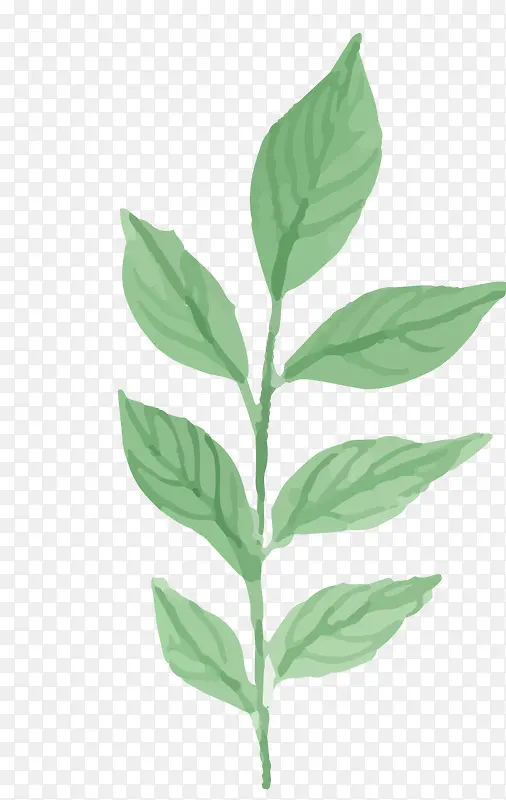 ˮ��ֲ��-������