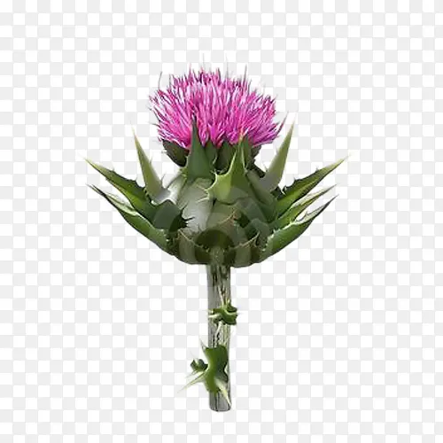 һ���̼��ݻ���ͼƬ�ز�-������