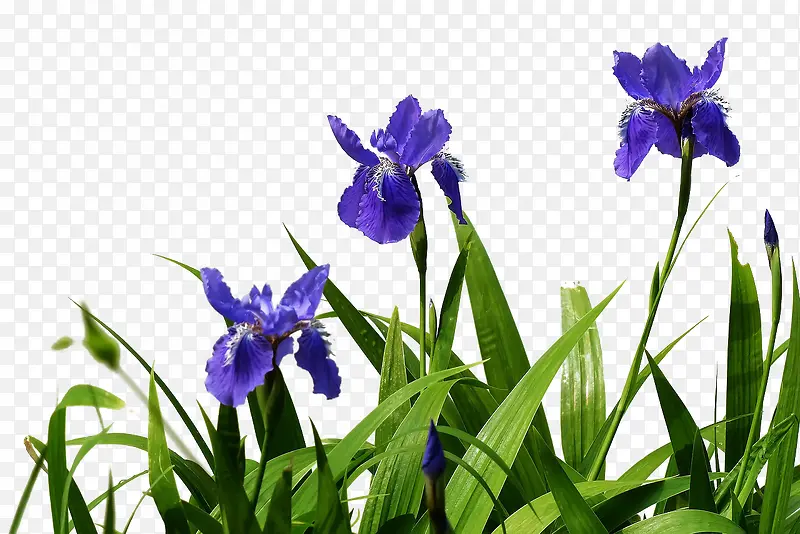 С�����β�����ϵ��-������