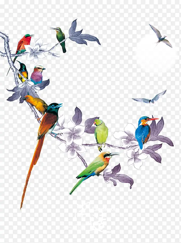 ��ɫ�����֦-������