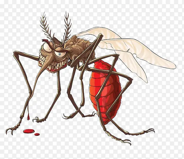 ��ͨ����-������