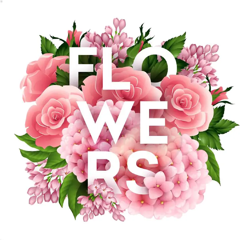 ����ˮ�ʻ���-������