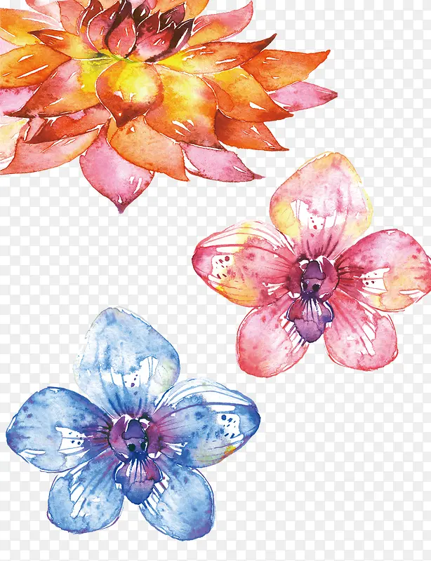 ���»����ز�-������