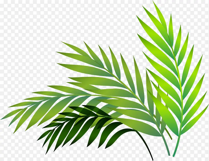 ���ⰻȻ��ɫС��-������