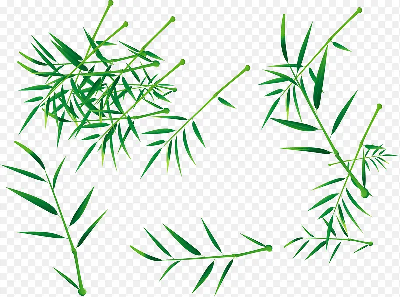 ��Ҷpngʸ���ز�-������