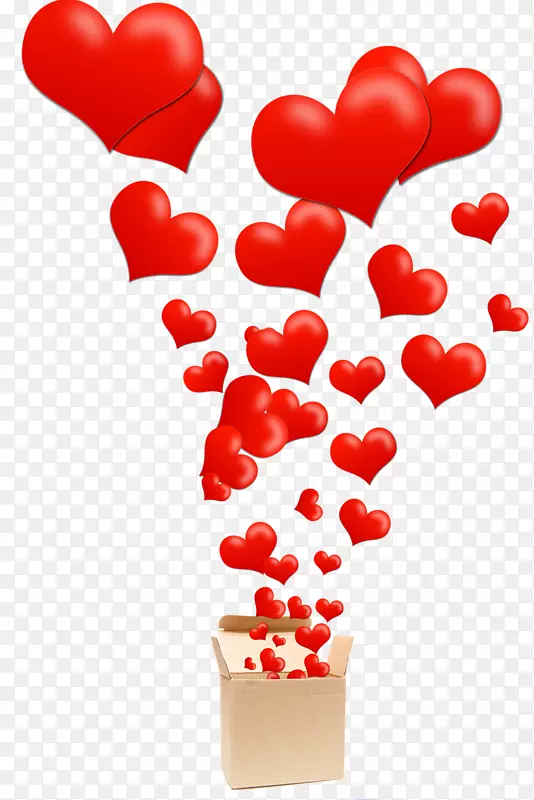 �������ֽ�ĸ���-������