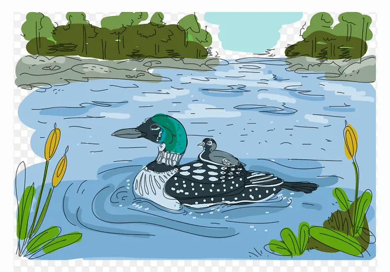 ˮ��Ѽ����Ӿ-������