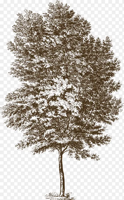 �ߴ������-������