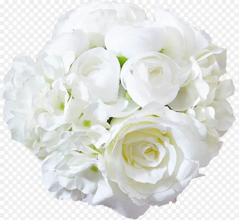 ��ɫ��õ�廨-������