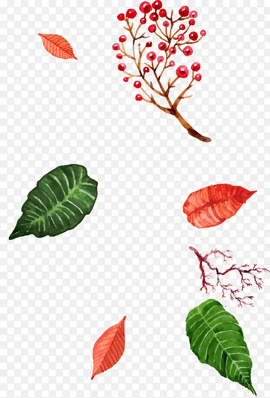 �ֻ���Ҷ-������