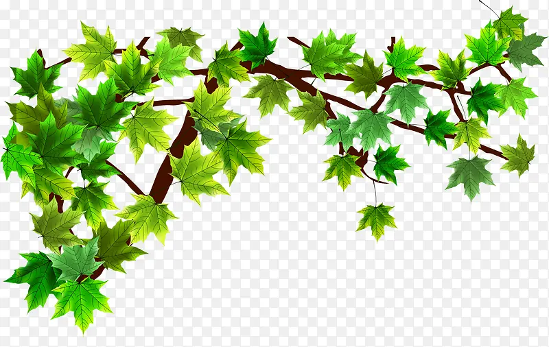 ʸ����֦װ��ͼ��-������