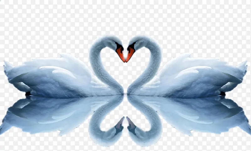 �������ĵ�Ӱ-������