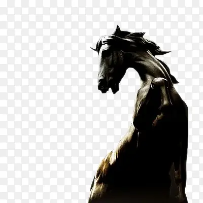 ����ר��-������