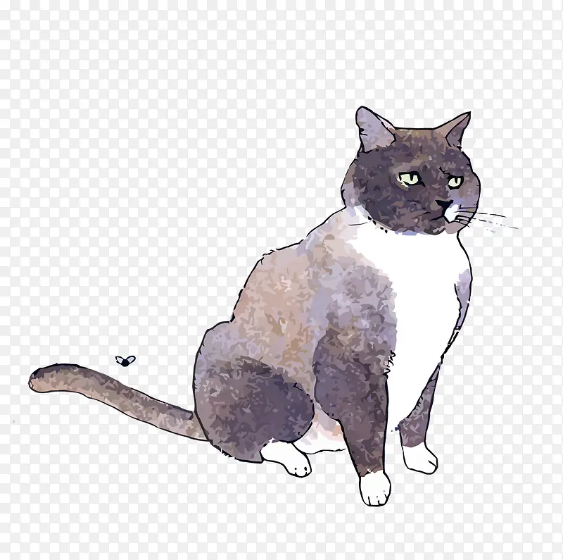 ʸ��ˮ��è��-������