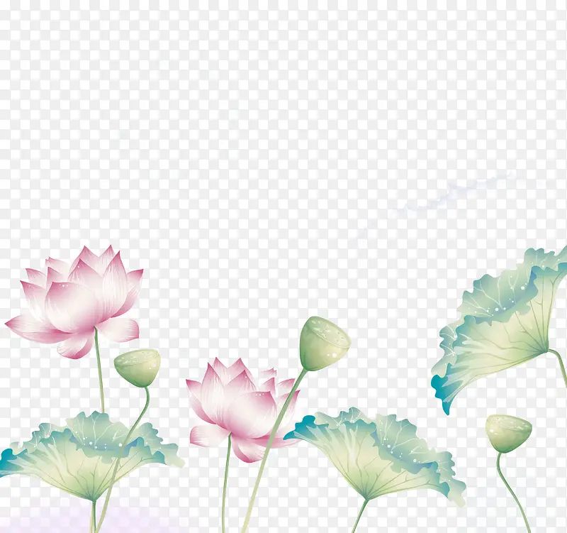 ˮ�ʺɻ�-������