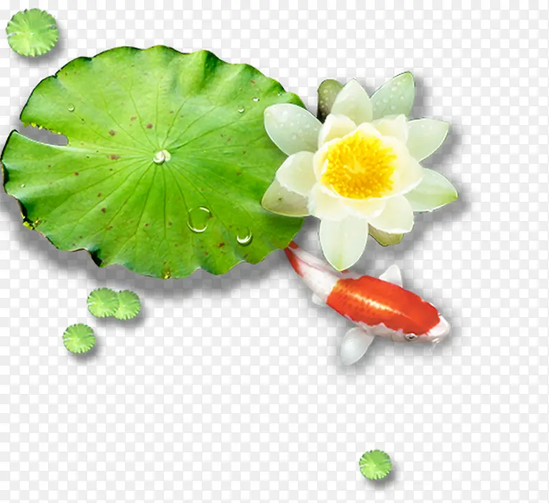 ��ɫ��˯��-������