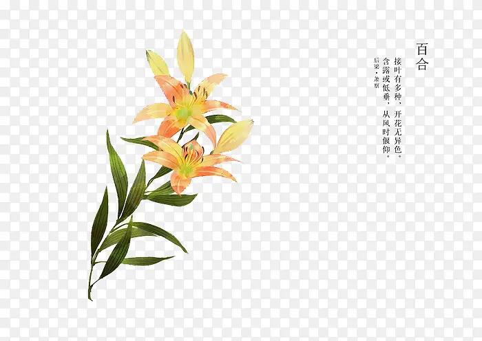 �ֻ滨��-������