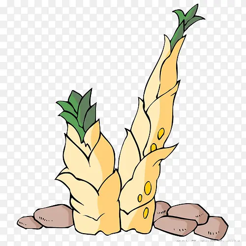 ����廭-������