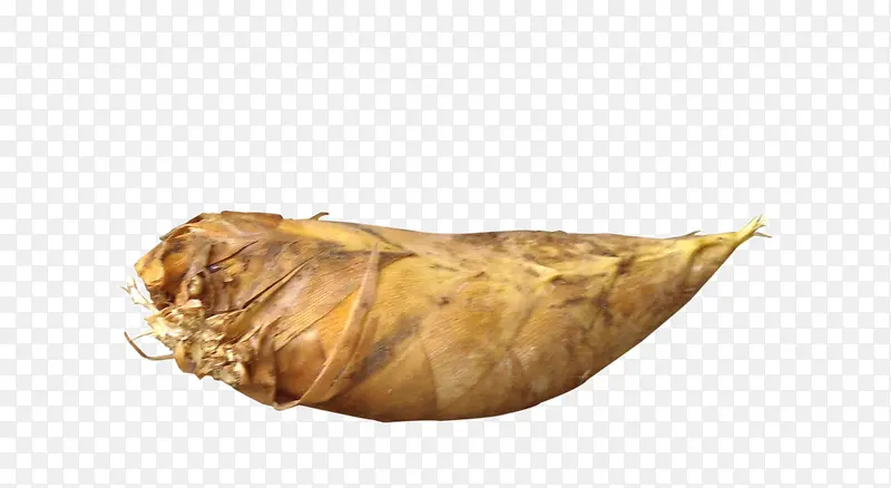 �����߲�-������