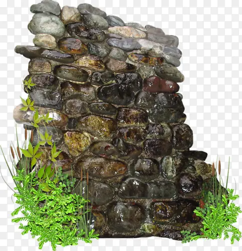 ǽ-������