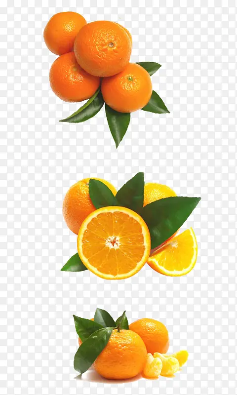 ��ɫ����-������