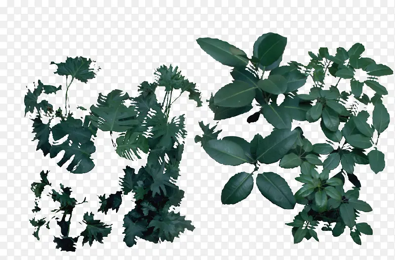 ԰�־���Ч��ͼԪ��û�������¼�-������