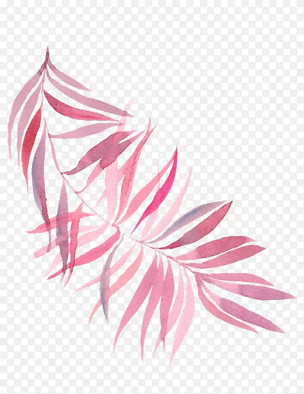 ˮ���ֻ���ɫ��֦��Ҷ-������