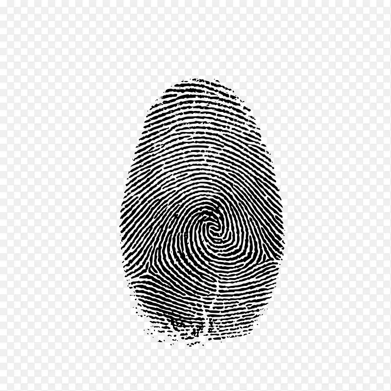 ʸ��С��ָָ�ƴ�-������