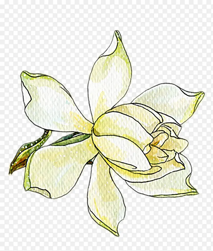 ��ɫ������-������