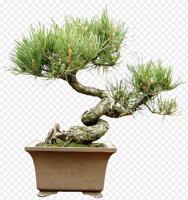 ������Ӱ��ɫ��԰�־����ɰ�-������