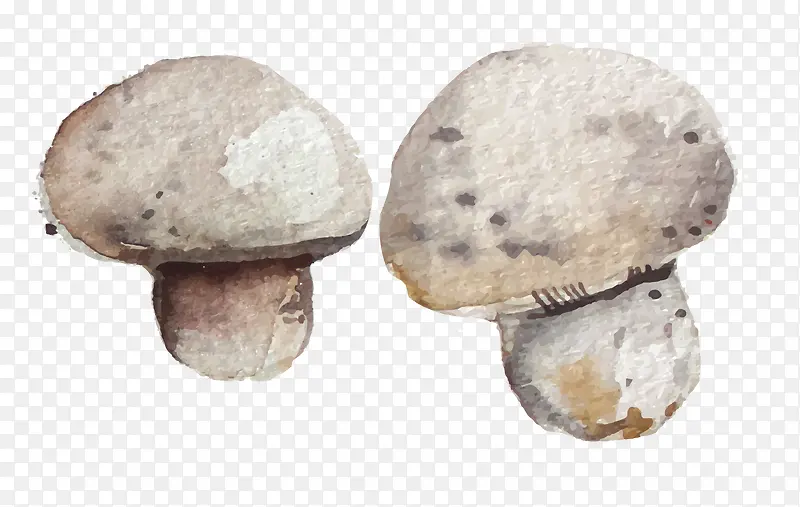 �ֻ�дʵ�߲�-������