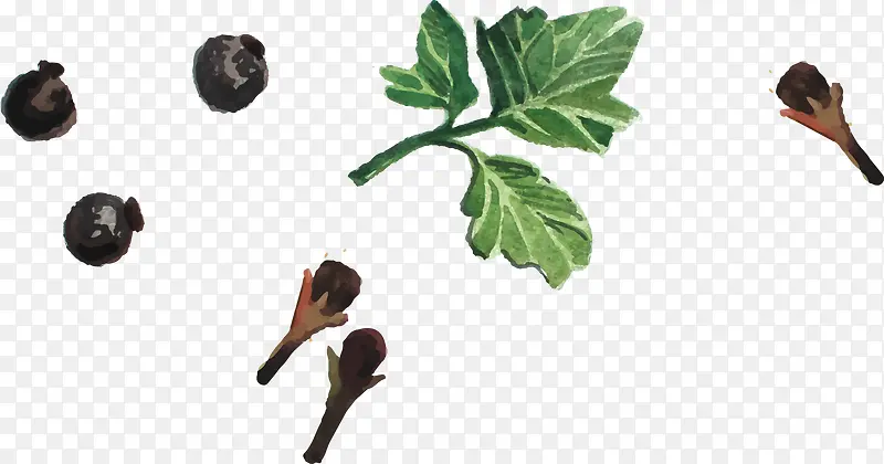 �ֻ�дʵ�߲�-������