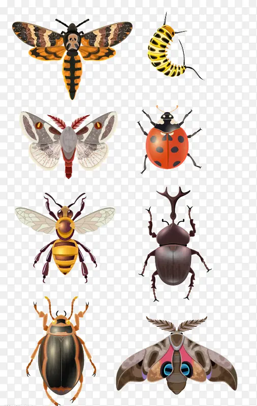 ��ͨ����-������