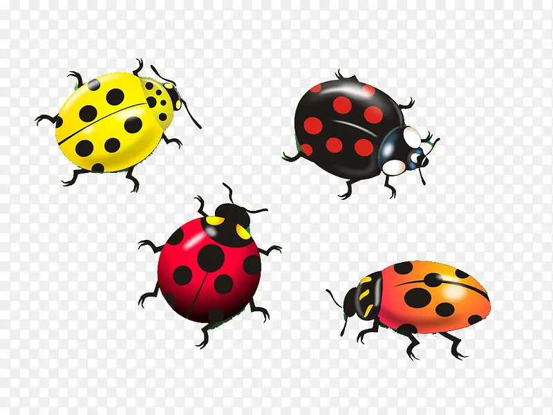 ��ɫ������ư��-������