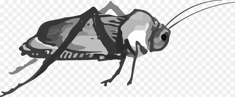 ˮ������-������