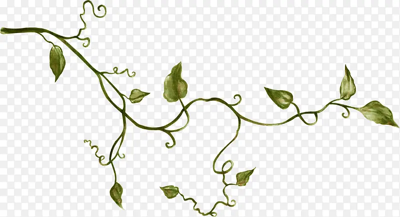 ֲ��֦��-������