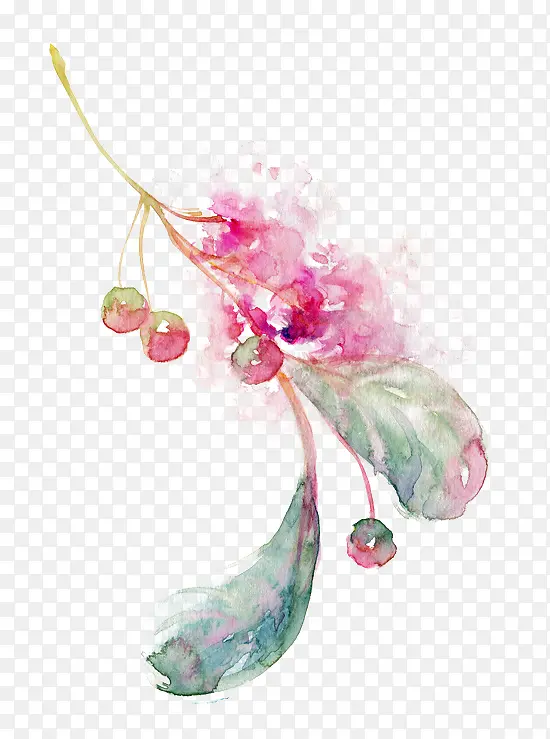 ˮ����ë-������