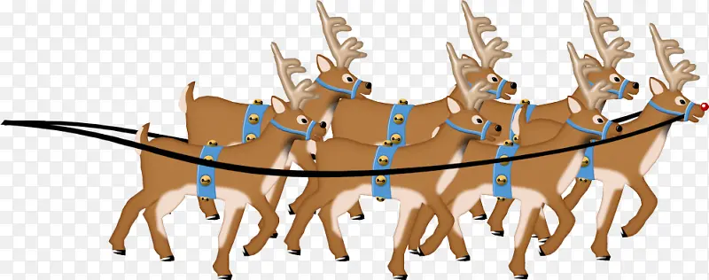 ʥ����Ԫ��-������