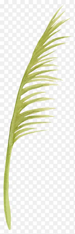 ��֪��ˮ�ʲ�ֲ��-������