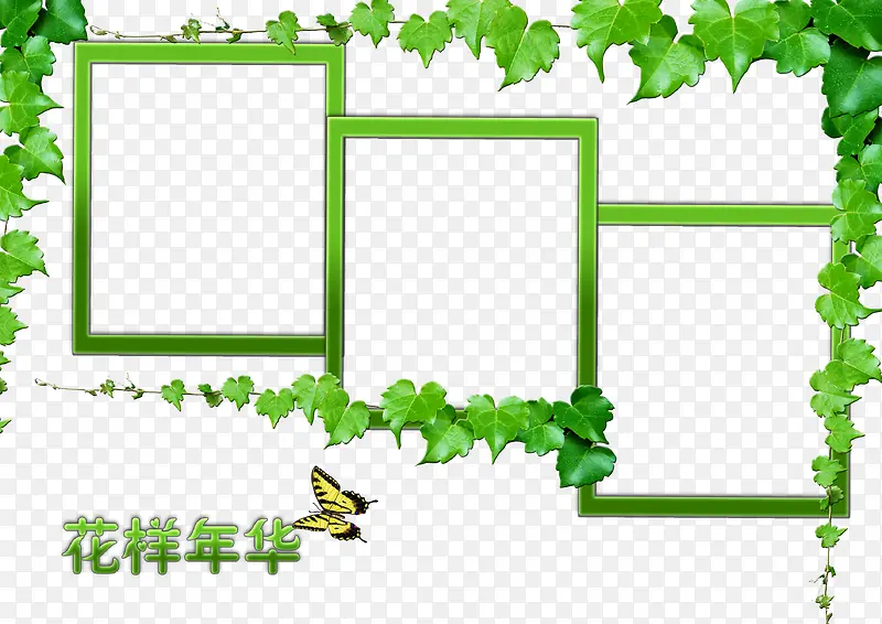 ��ɫ����-������